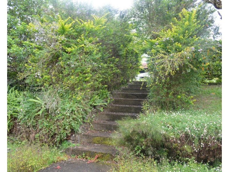 Millaa Millaa QLD 4886