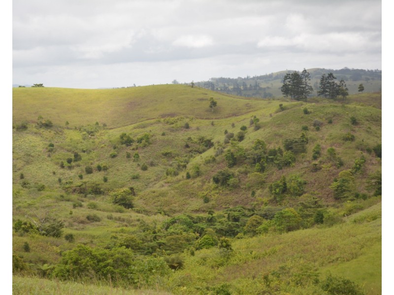 Millaa Millaa QLD 4886