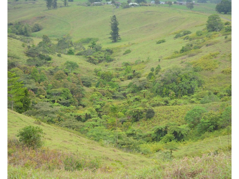 Millaa Millaa QLD 4886