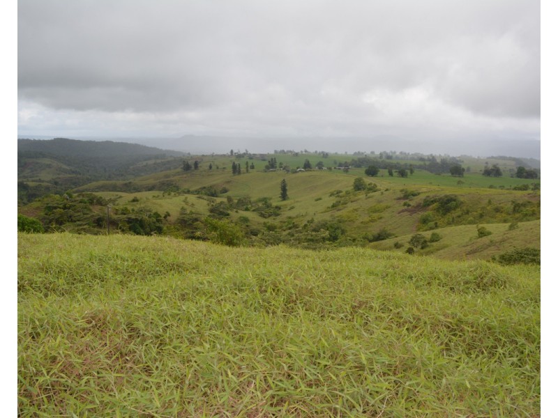 Millaa Millaa QLD 4886