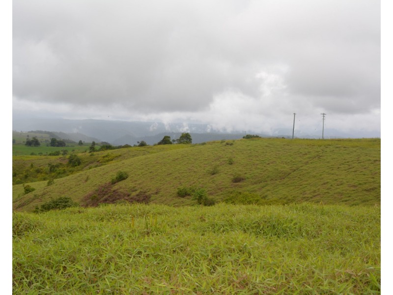 Millaa Millaa QLD 4886