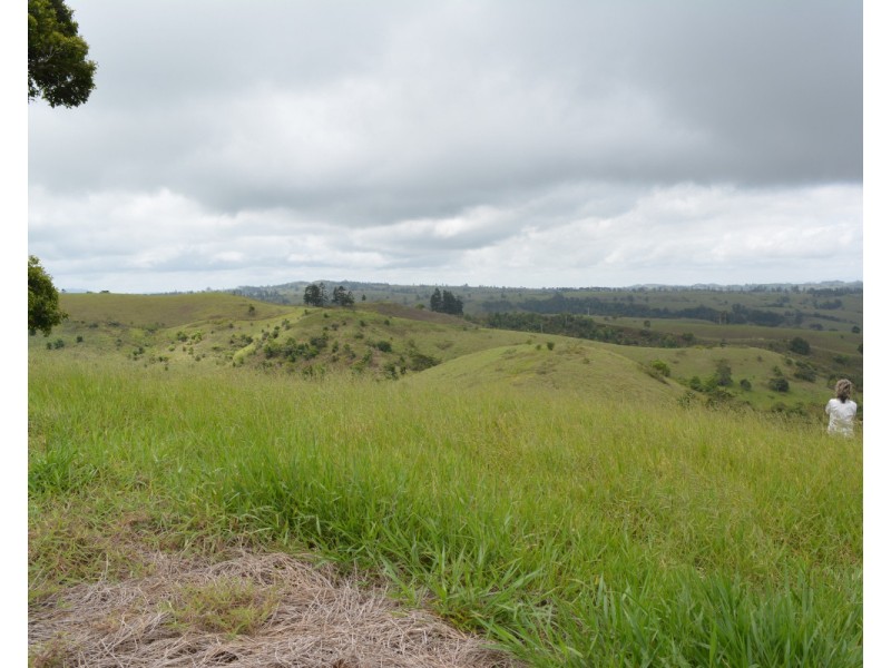 Millaa Millaa QLD 4886