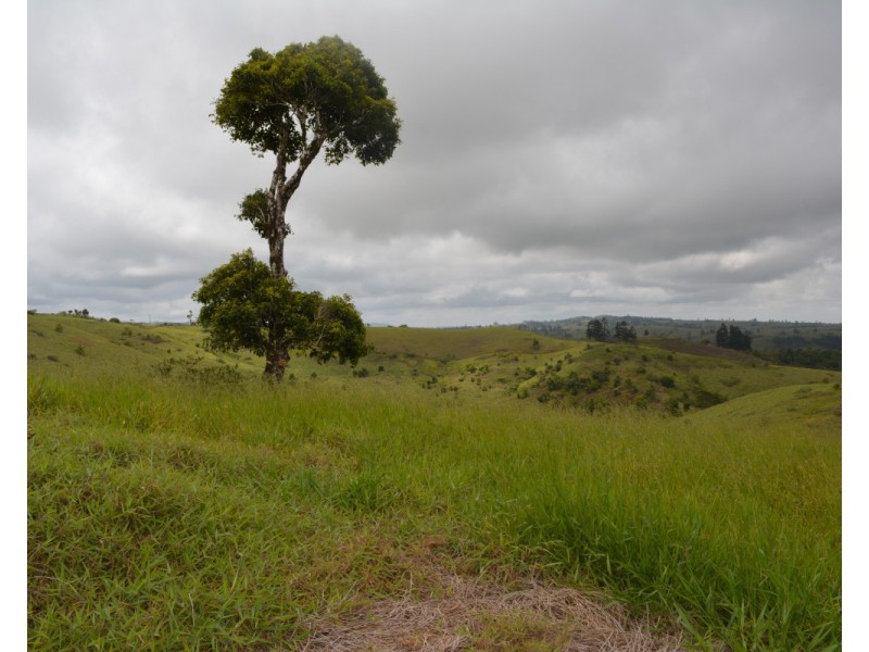 Millaa Millaa QLD 4886