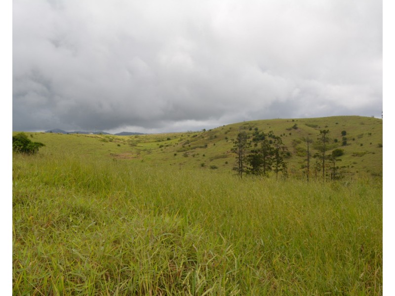 Millaa Millaa QLD 4886