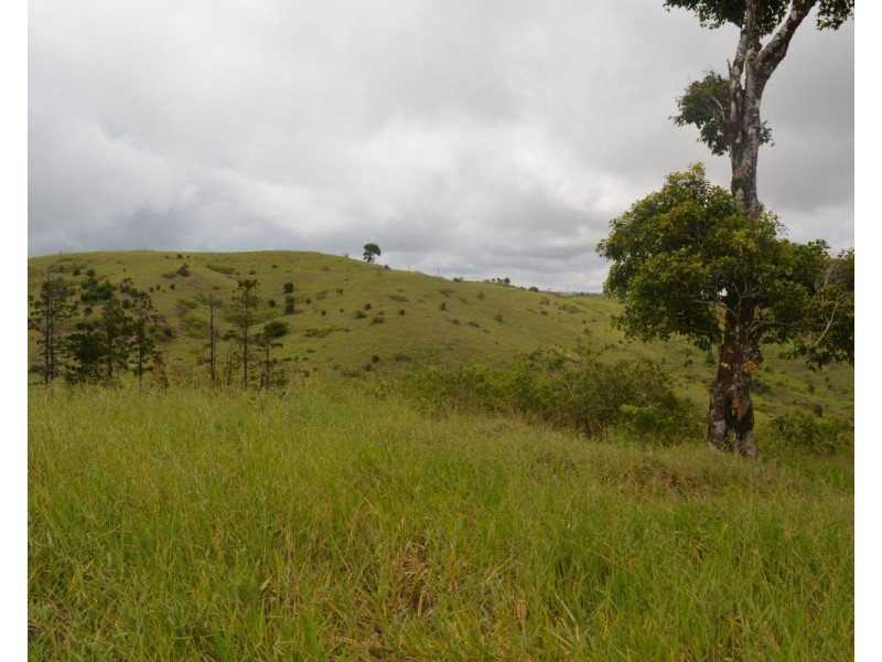 Millaa Millaa QLD 4886