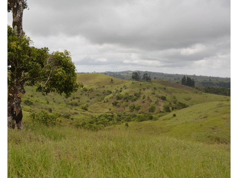 Millaa Millaa QLD 4886