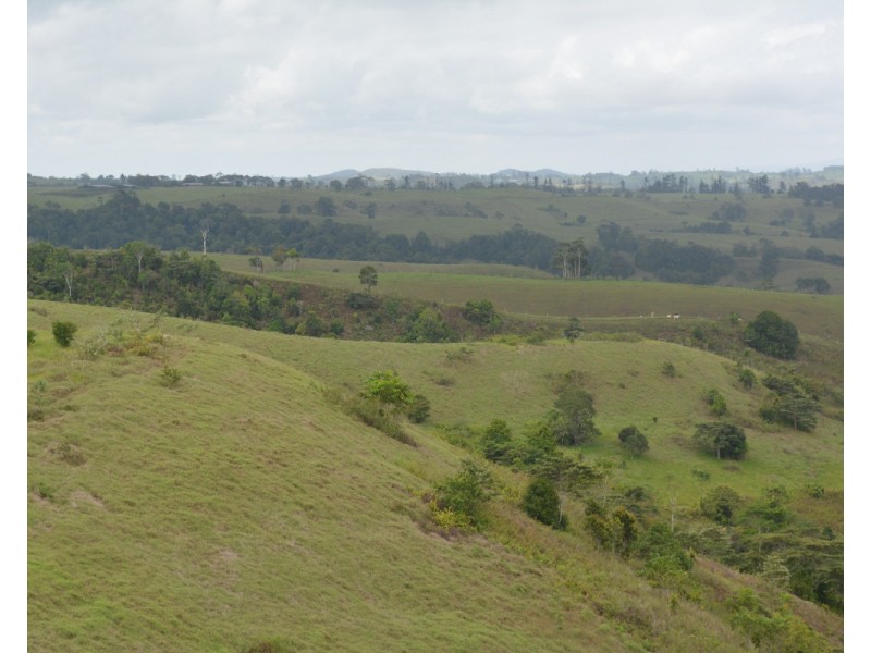 Millaa Millaa QLD 4886