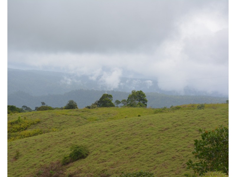 Millaa Millaa QLD 4886