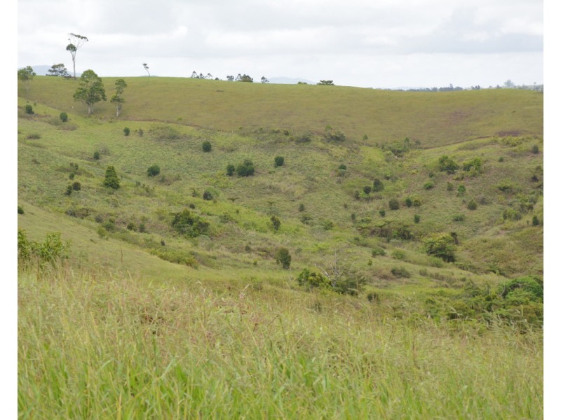 Millaa Millaa QLD 4886