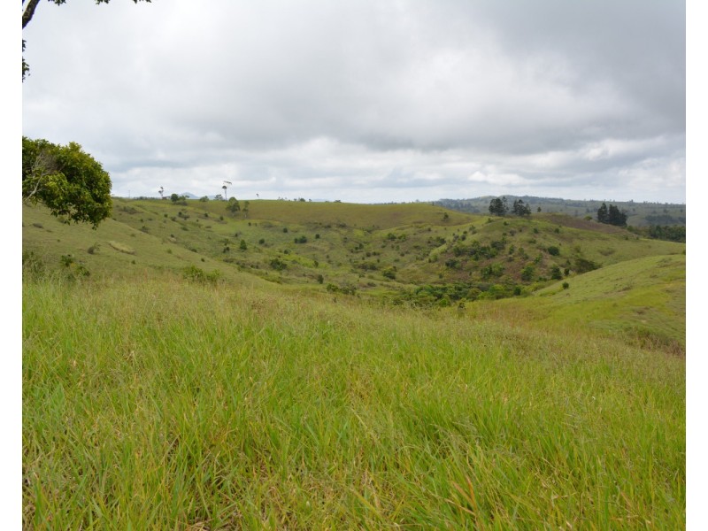 Millaa Millaa QLD 4886