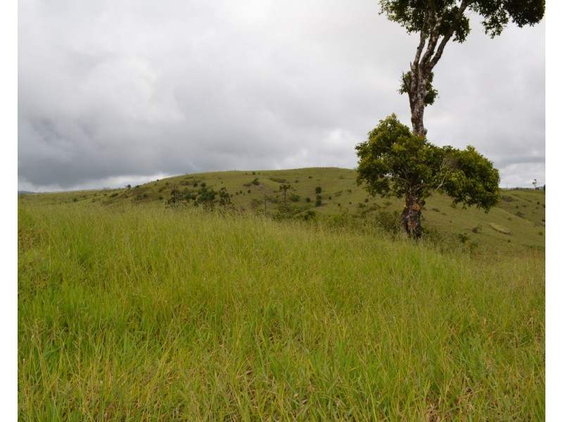 Millaa Millaa QLD 4886