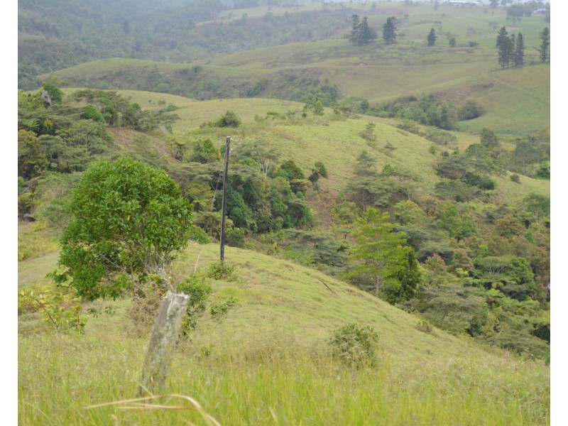 Millaa Millaa QLD 4886