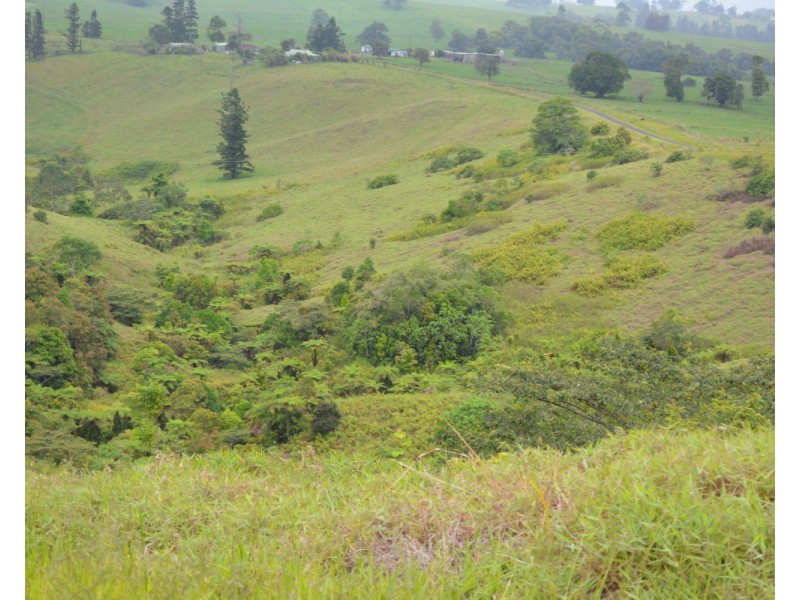 Millaa Millaa QLD 4886