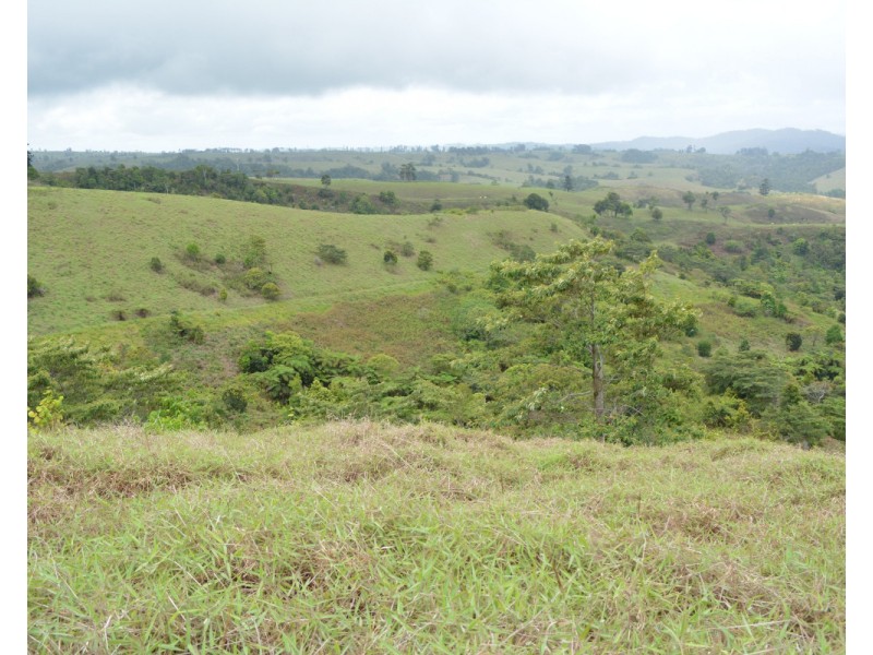 Millaa Millaa QLD 4886