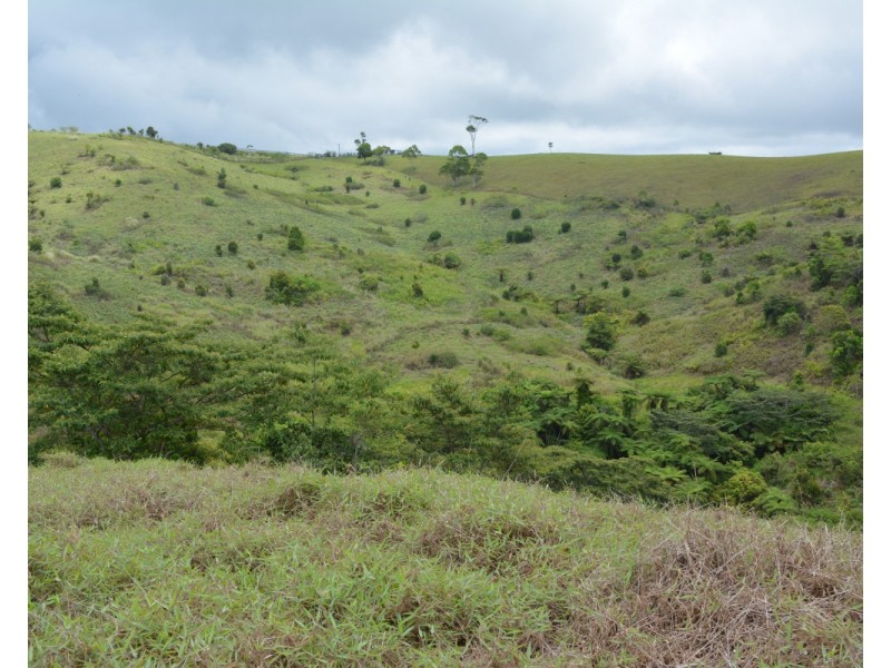 Millaa Millaa QLD 4886