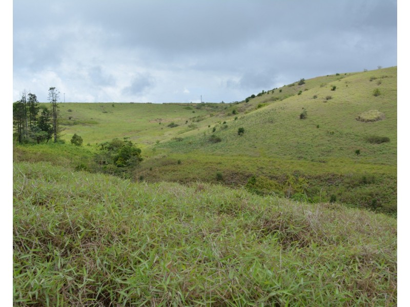 Millaa Millaa QLD 4886