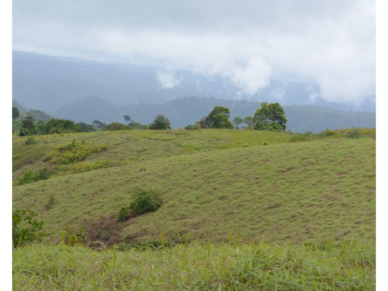 Millaa Millaa QLD 4886