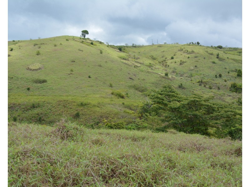 Millaa Millaa QLD 4886