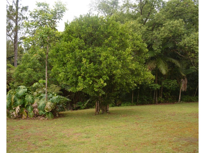 Millaa Millaa QLD 4886