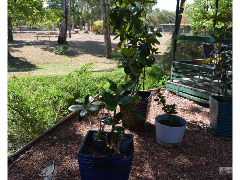 Ravenshoe QLD 4888