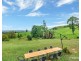 Millaa Millaa QLD 4886