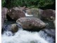 Millaa Millaa QLD 4886