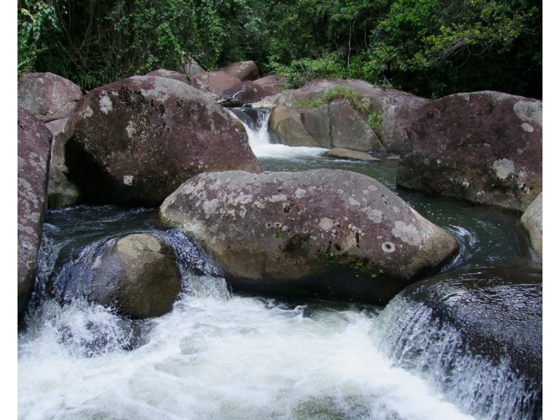 Millaa Millaa QLD 4886