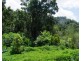Millaa Millaa QLD 4886
