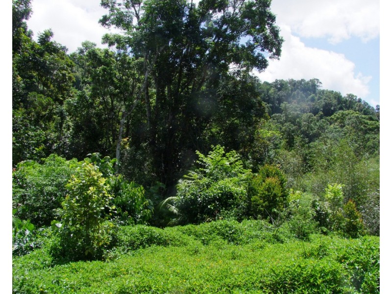 Millaa Millaa QLD 4886