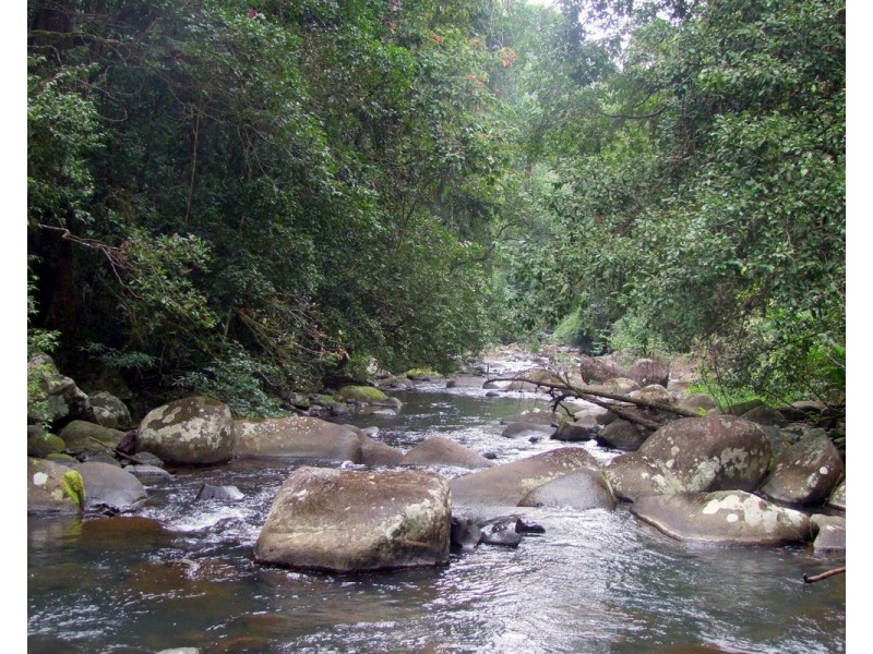 Millaa Millaa QLD 4886