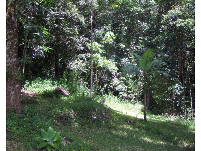 Millaa Millaa QLD 4886