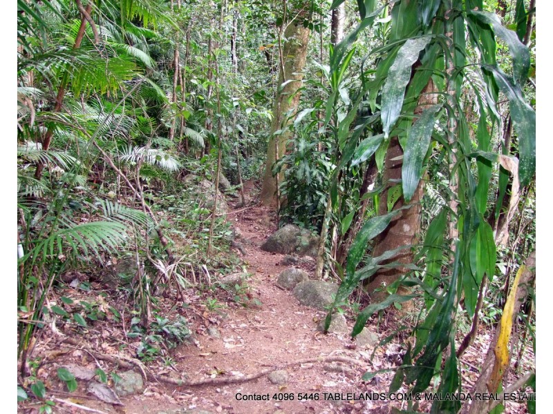 Millaa Millaa QLD 4886