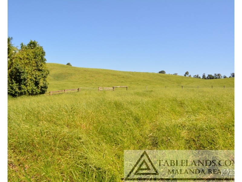 East Palmerston QLD 4860