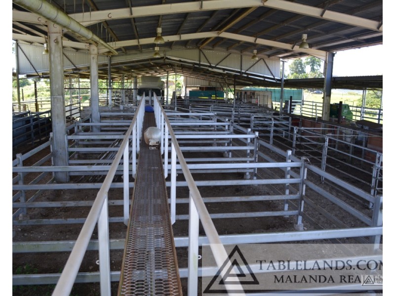 East Palmerston QLD 4860