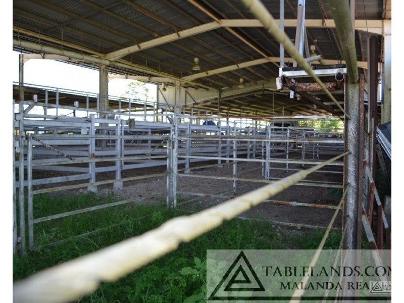 East Palmerston QLD 4860