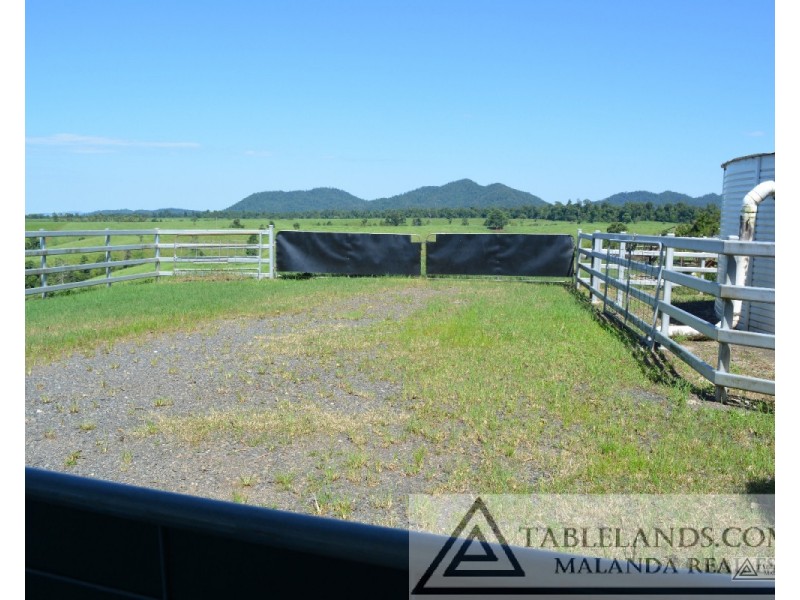 East Palmerston QLD 4860