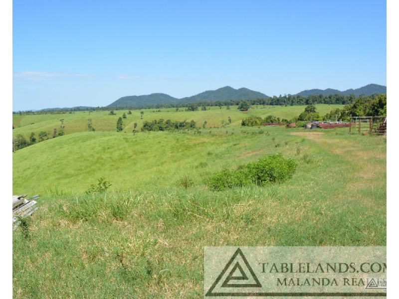 East Palmerston QLD 4860