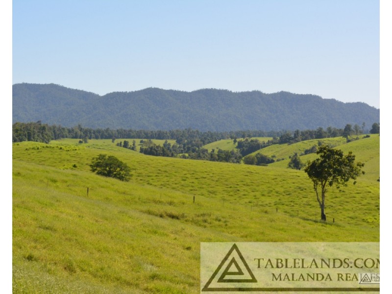 East Palmerston QLD 4860