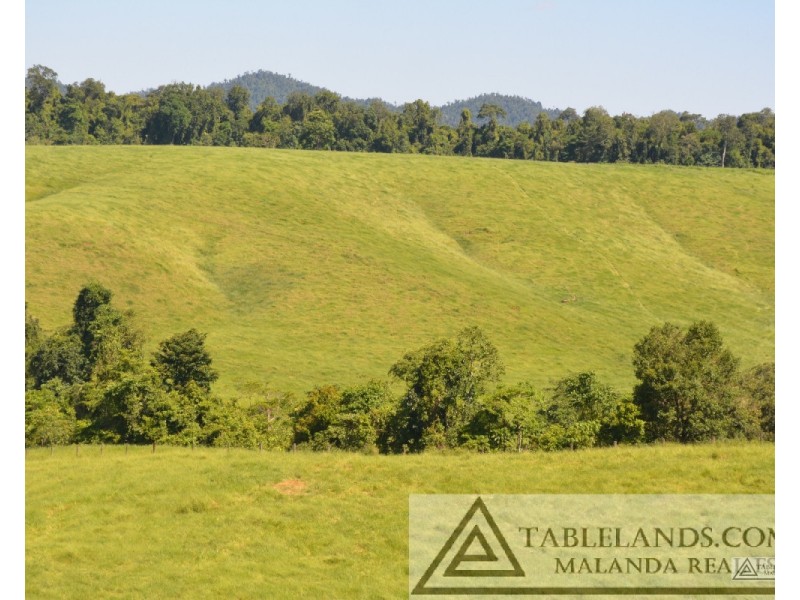 East Palmerston QLD 4860