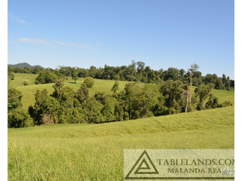 East Palmerston QLD 4860