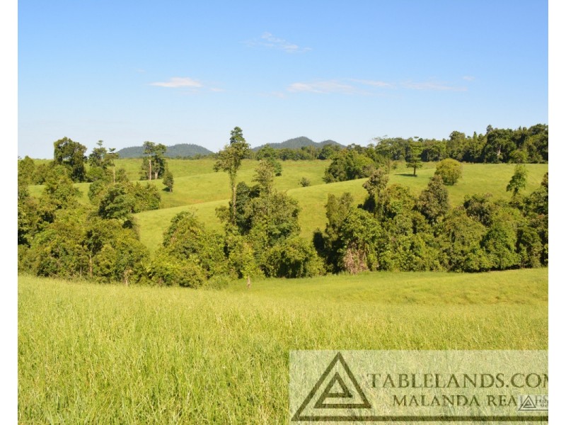 East Palmerston QLD 4860