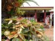Malanda QLD 4885