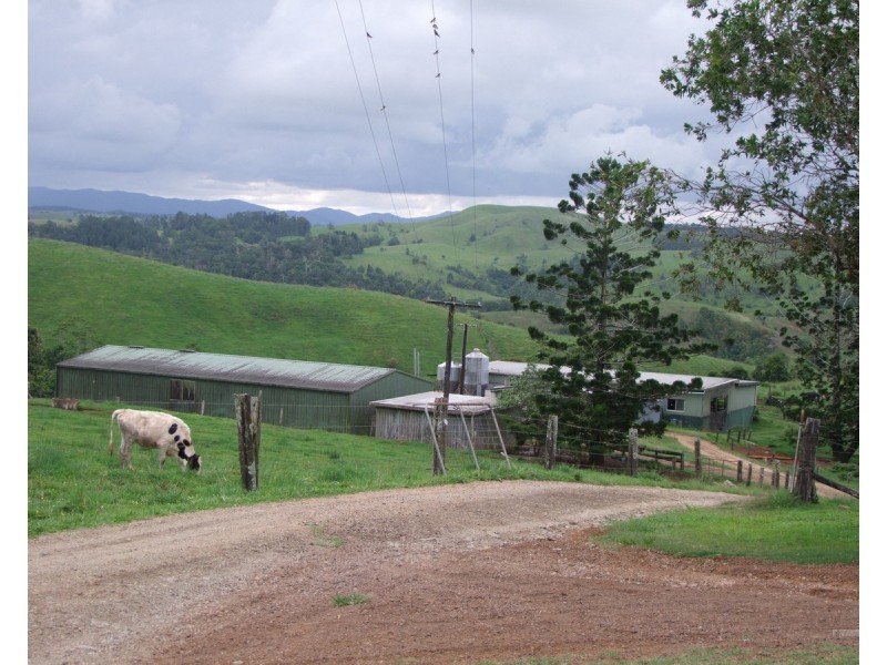 Millaa Millaa QLD 4886