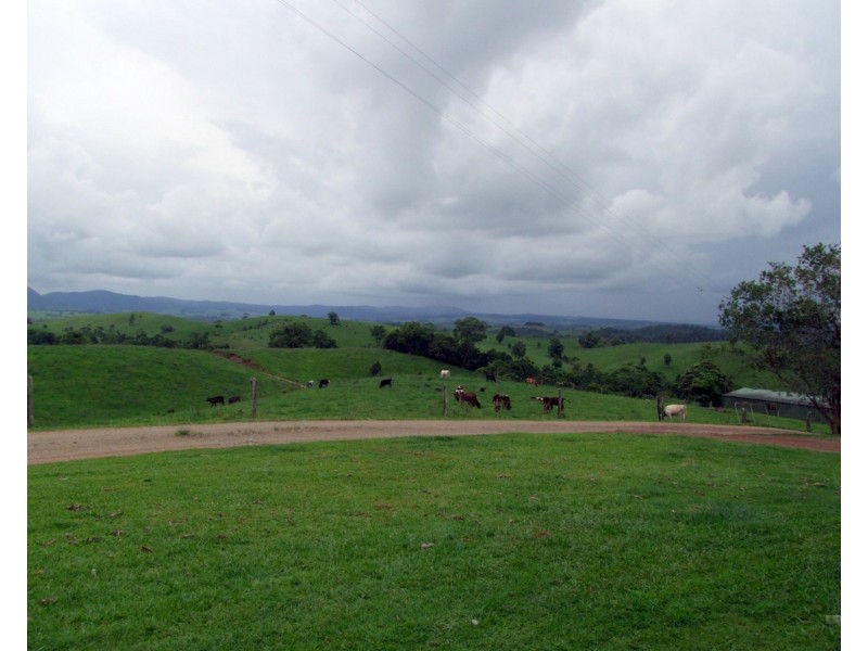 Millaa Millaa QLD 4886