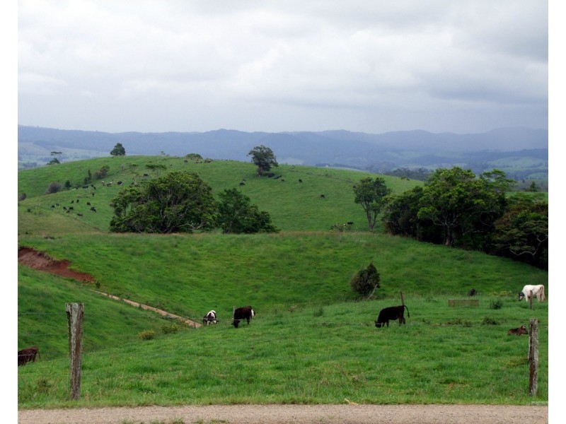 Millaa Millaa QLD 4886
