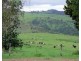Millaa Millaa QLD 4886