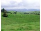 Millaa Millaa QLD 4886