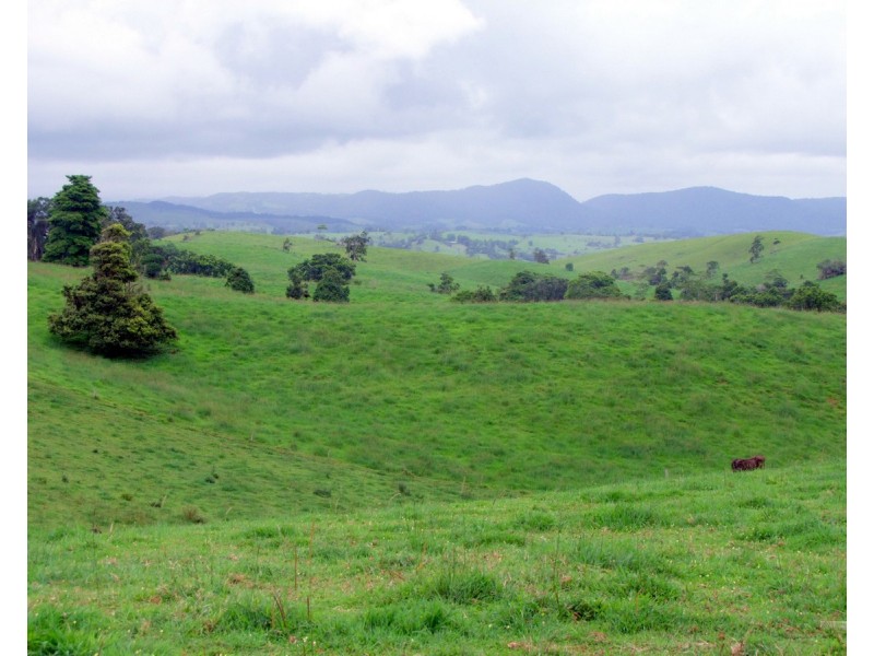 Millaa Millaa QLD 4886