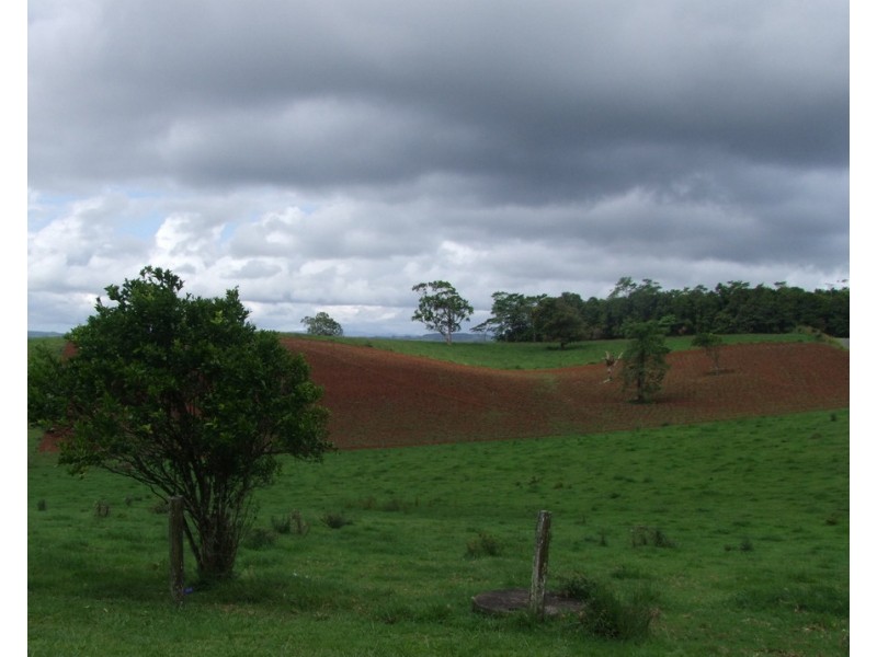 Millaa Millaa QLD 4886