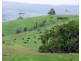 Millaa Millaa QLD 4886